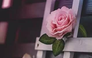 有一种尊重，叫晚三秒再关门