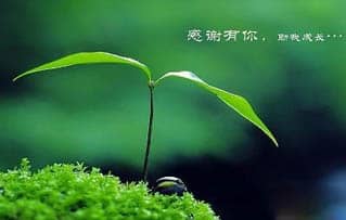 如何正确看待心理咨询