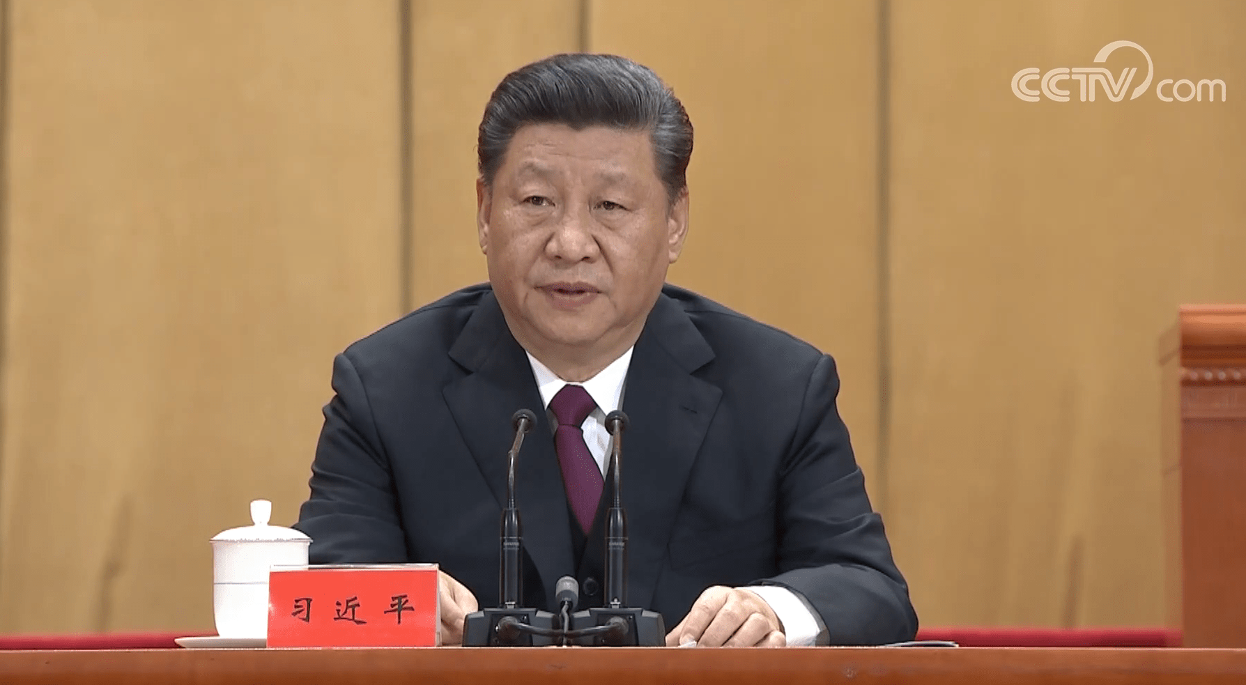 习近平：在纪念五四运动100周年大会上的讲话