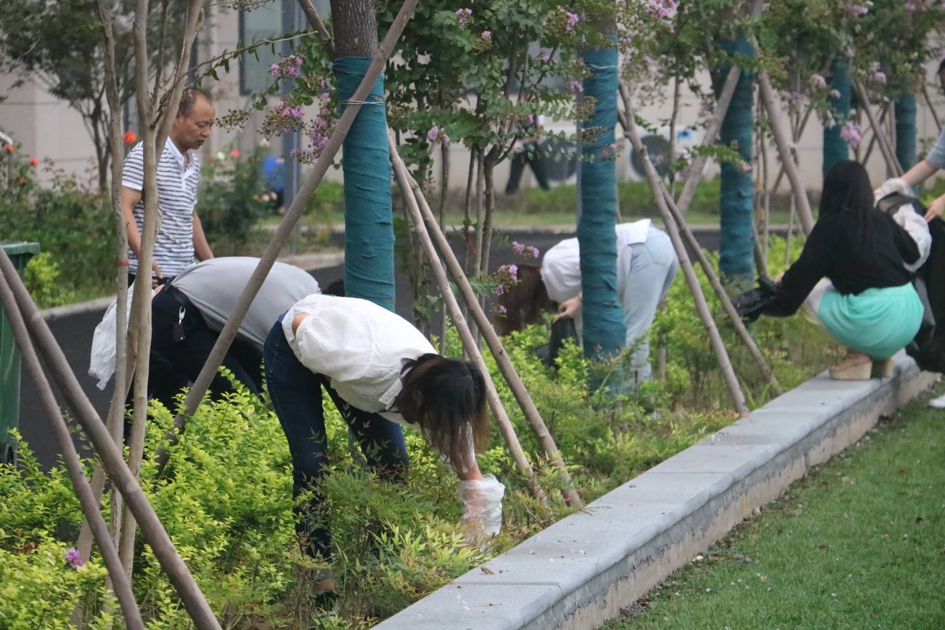 用汗水为孩子们构建美丽校园