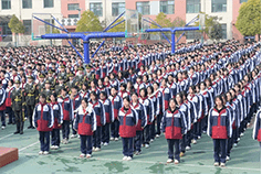 龙腾虎跃展新貌 精神抖擞谱华章